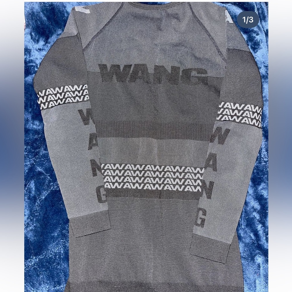 Alexander wang h&m